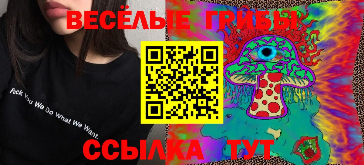 Галлюциногенные грибы Psilocybine cubensis Искитим